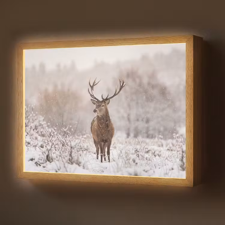 Lightbox - Wandlamp - Edelhert - Bos - Sneeuw - Winter - Majestueus — 1
