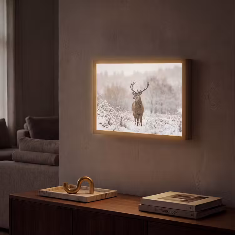 Lightbox - Wandlamp - Edelhert - Bos - Sneeuw - Winter - Majestueus — 2