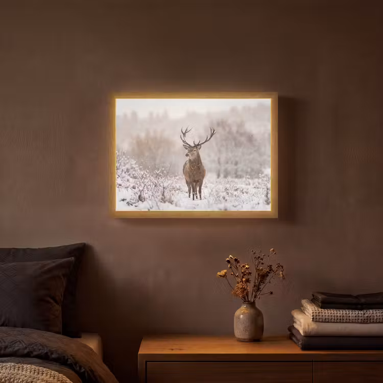 Lightbox - Wandlamp - Edelhert - Bos - Sneeuw - Winter - Majestueus — 3