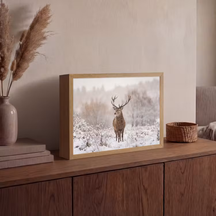 Lightbox - Wandlamp - Edelhert - Bos - Sneeuw - Winter - Majestueus — 4