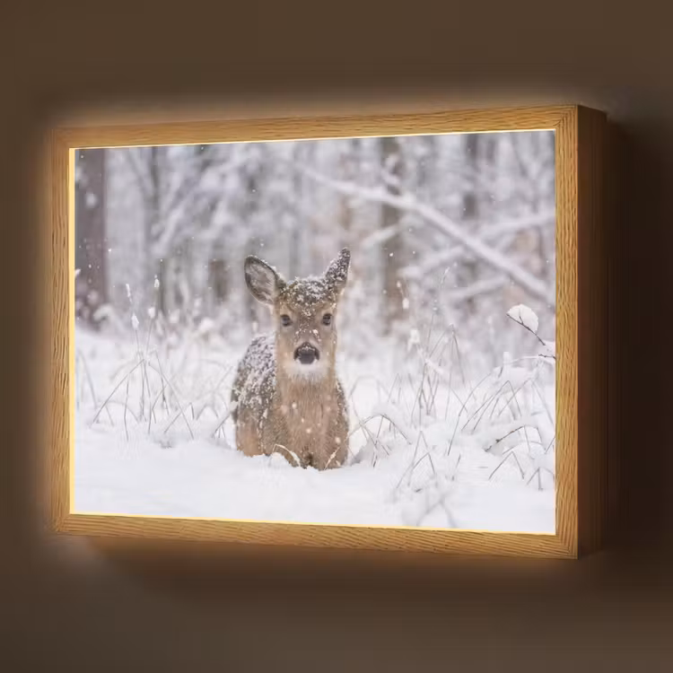 Lightbox - Wandlamp - Hert - Sneeuw - Bos - Dieren - Vertederend — 1
