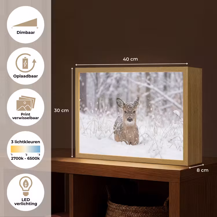 Lightbox - Wandlamp - Hert - Sneeuw - Bos - Dieren - Vertederend — 10
