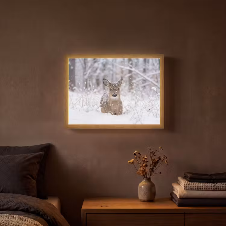 Lightbox - Wandlamp - Hert - Sneeuw - Bos - Dieren - Vertederend — 3