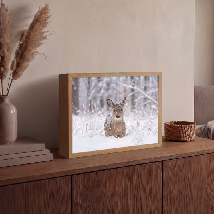 Lightbox - Wandlamp - Hert - Sneeuw - Bos - Dieren - Vertederend — 4