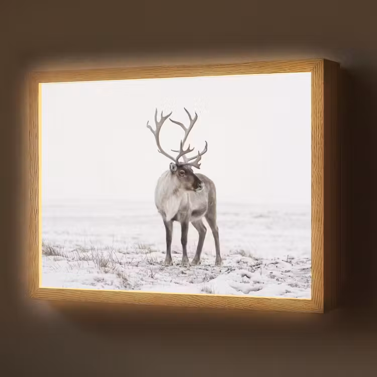 Lightbox - Wandlamp - Rendier - Gewei - Sneeuw - Winter — 1
