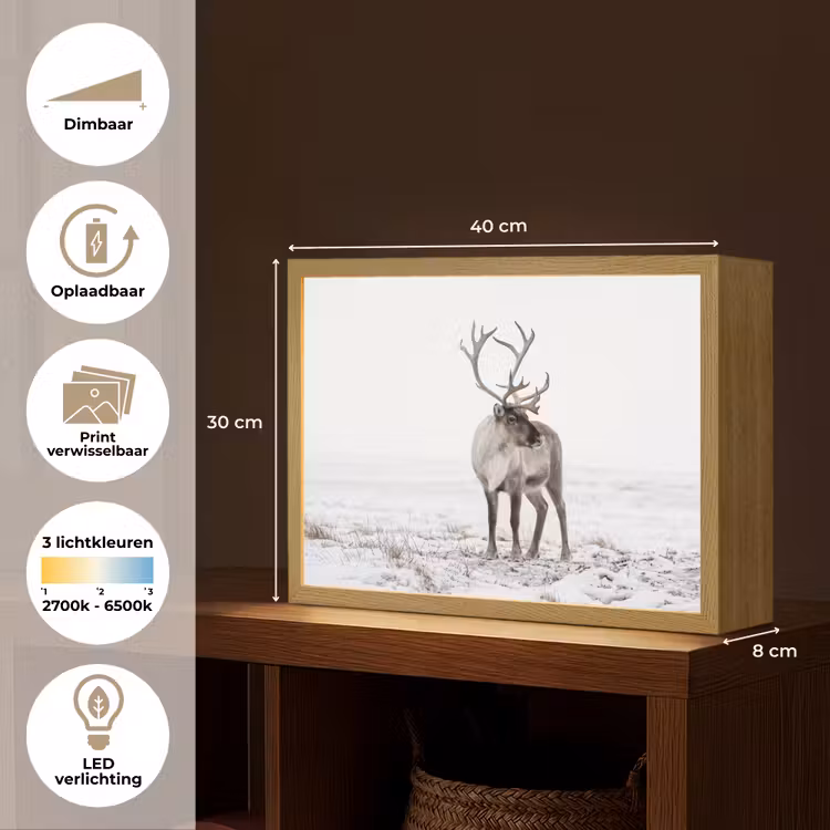 Lightbox - Wandlamp - Rendier - Gewei - Sneeuw - Winter — 10