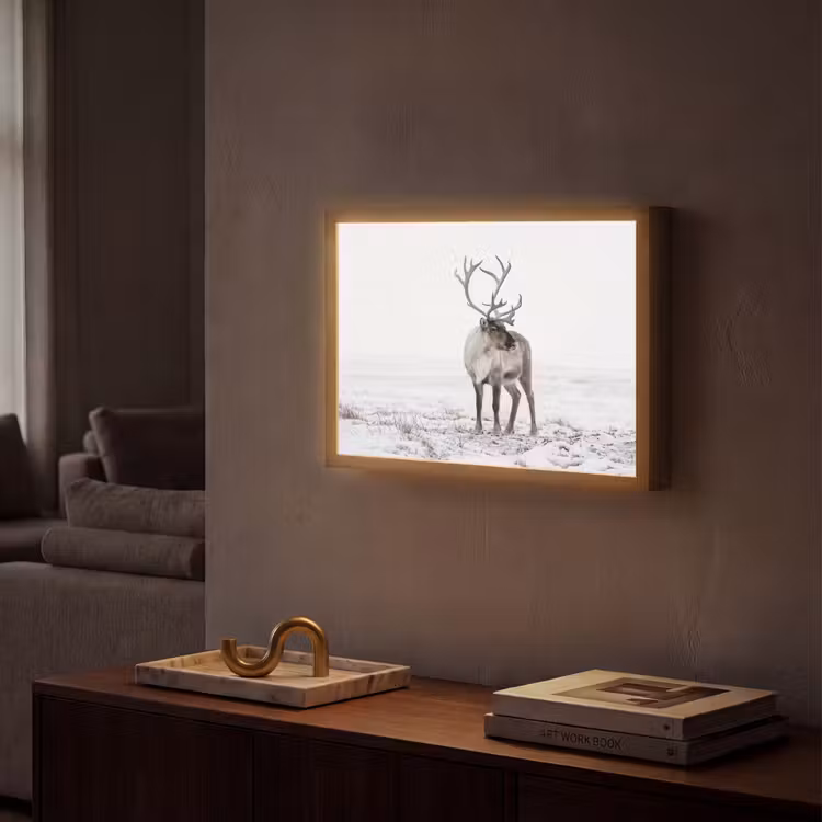 Lightbox - Wandlamp - Rendier - Gewei - Sneeuw - Winter — 2
