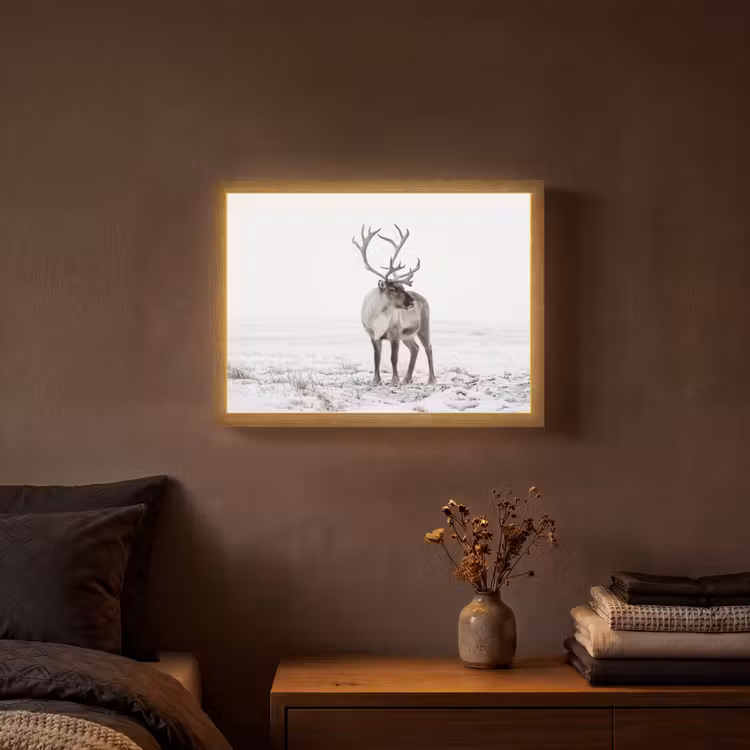 Lightbox - Wandlamp - Rendier - Gewei - Sneeuw - Winter — 3