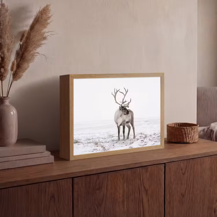 Lightbox - Wandlamp - Rendier - Gewei - Sneeuw - Winter — 4
