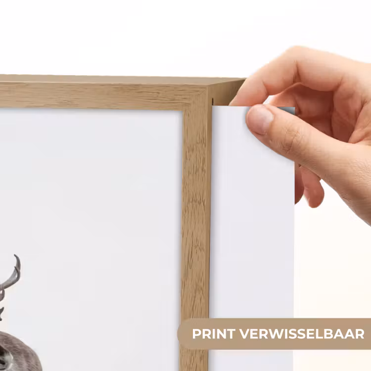 Lightbox - Wandlamp - Rendier - Gewei - Sneeuw - Winter — 5