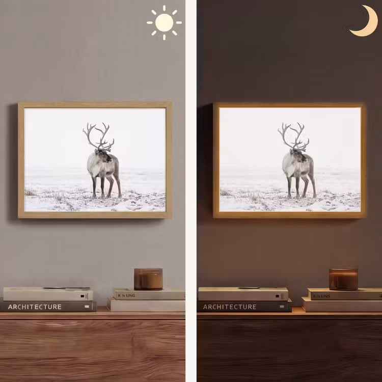 Lightbox - Wandlamp - Rendier - Gewei - Sneeuw - Winter — 6