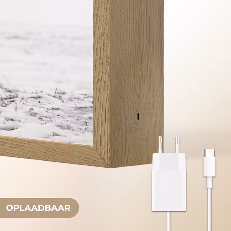Lightbox - Wandlamp - Rendier - Gewei - Sneeuw - Winter — 7