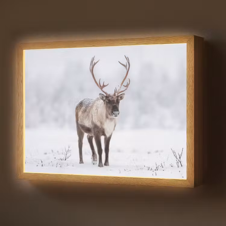 Lightbox - Wandlamp - Rendier - Gewei - Toendra - Sneeuw - Wild — 1
