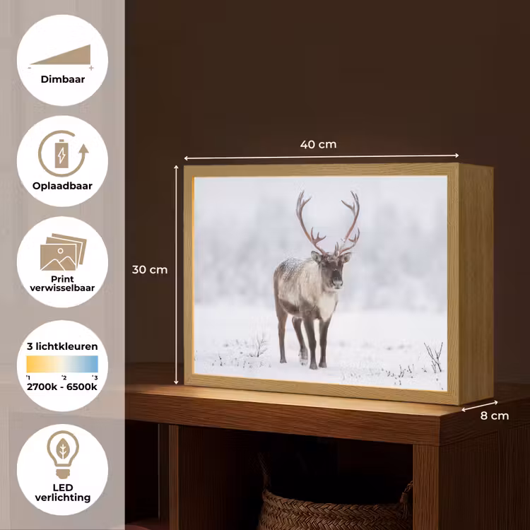 Lightbox - Wandlamp - Rendier - Gewei - Toendra - Sneeuw - Wild — 10