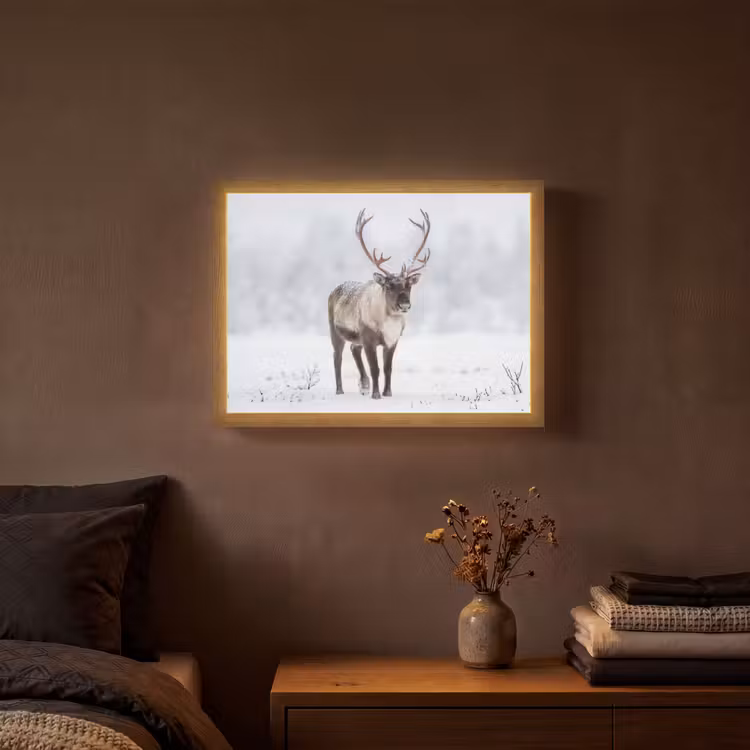 Lightbox - Wandlamp - Rendier - Gewei - Toendra - Sneeuw - Wild — 3