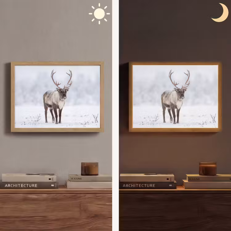 Lightbox - Wandlamp - Rendier - Gewei - Toendra - Sneeuw - Wild — 6