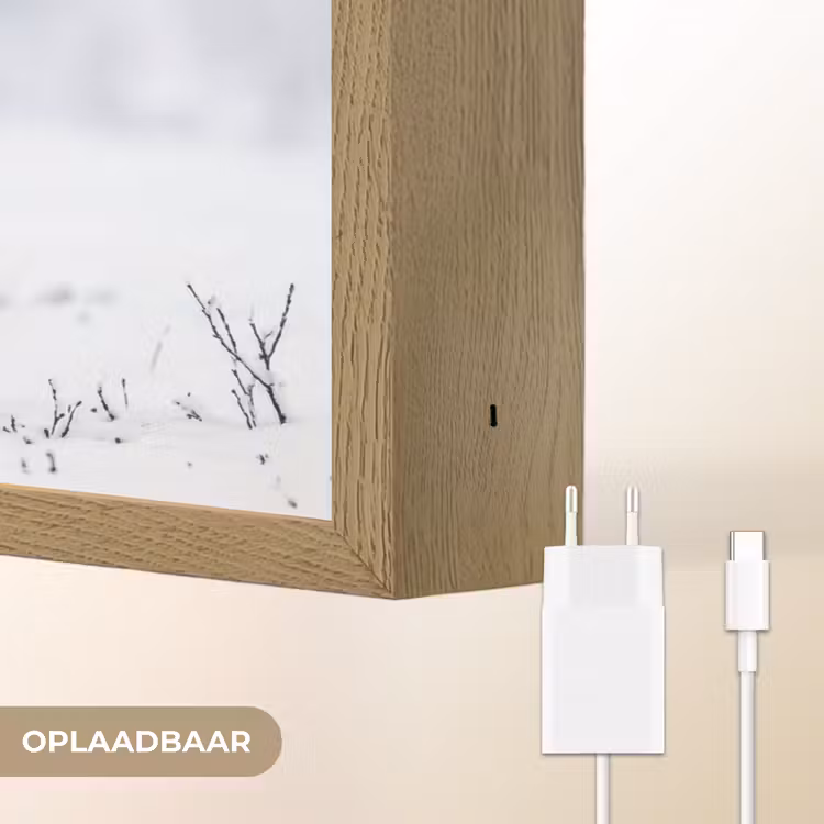 Lightbox - Wandlamp - Rendier - Gewei - Toendra - Sneeuw - Wild — 7
