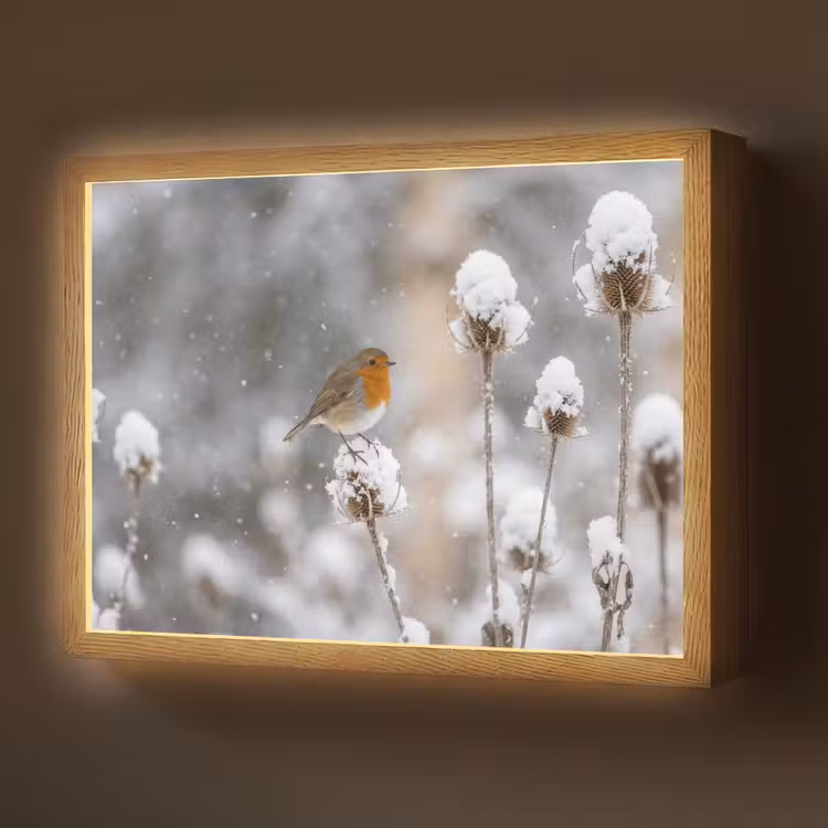 Lightbox - Wandlamp - Roodborstje - Gedroogde bloem - Sneeuw - Winter - Vertederend — 1