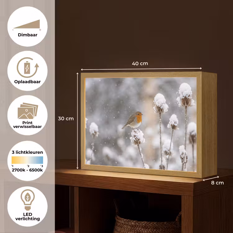 Lightbox - Wandlamp - Roodborstje - Gedroogde bloem - Sneeuw - Winter - Vertederend — 10