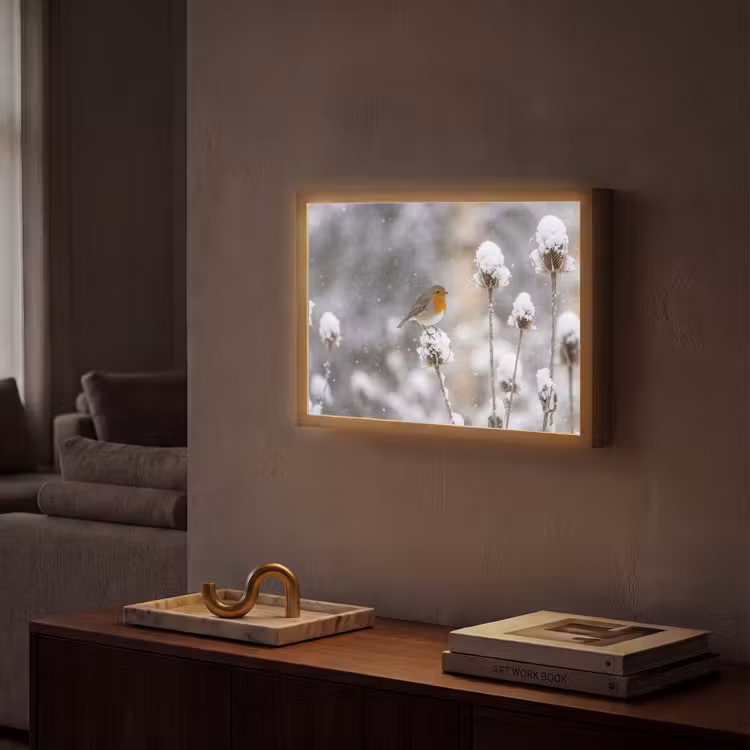 Lightbox - Wandlamp - Roodborstje - Gedroogde bloem - Sneeuw - Winter - Vertederend — 2