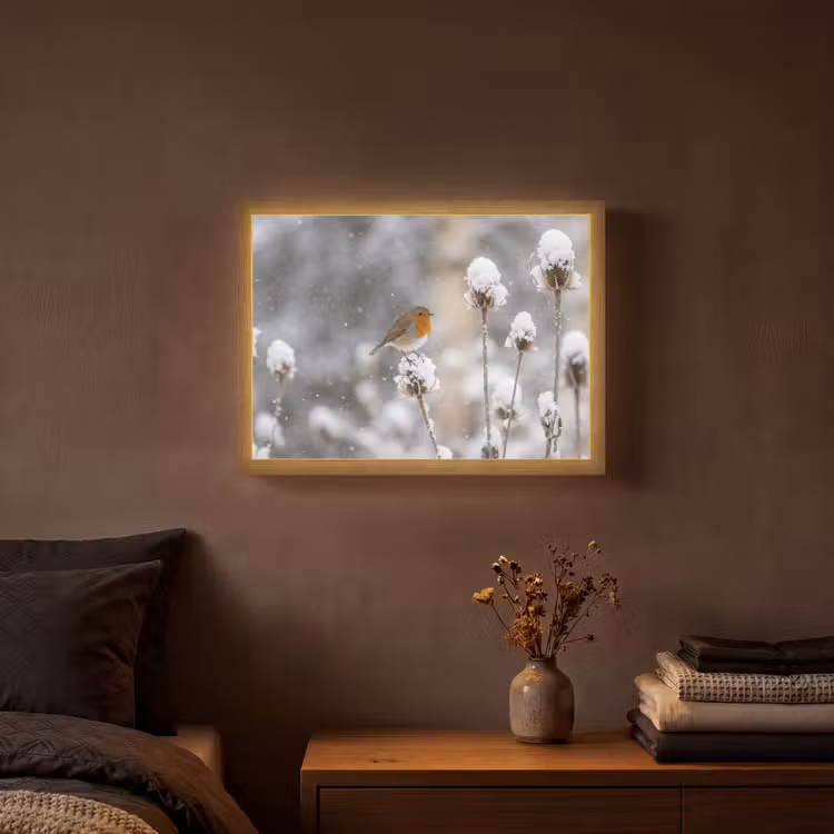 Lightbox - Wandlamp - Roodborstje - Gedroogde bloem - Sneeuw - Winter - Vertederend — 3