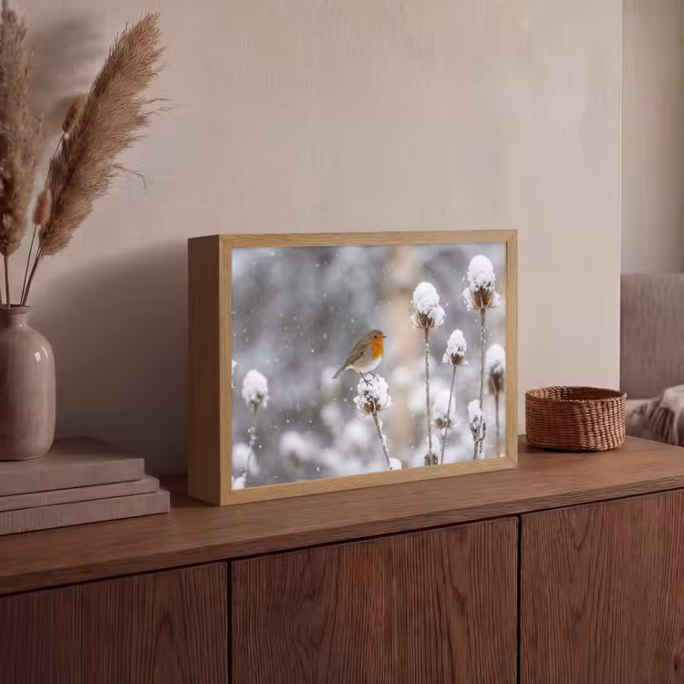 Lightbox - Wandlamp - Roodborstje - Gedroogde bloem - Sneeuw - Winter - Vertederend — 4