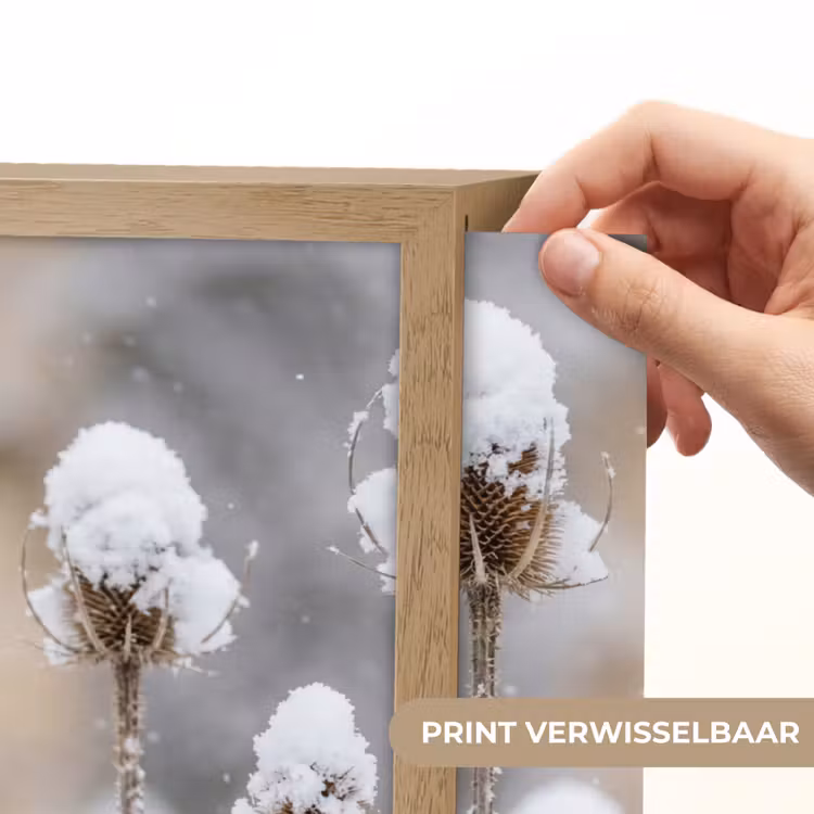 Lightbox - Wandlamp - Roodborstje - Gedroogde bloem - Sneeuw - Winter - Vertederend — 5
