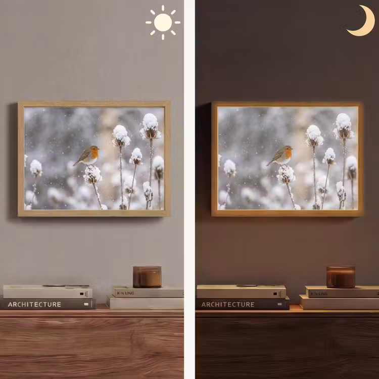 Lightbox - Wandlamp - Roodborstje - Gedroogde bloem - Sneeuw - Winter - Vertederend — 6