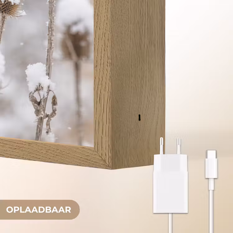 Lightbox - Wandlamp - Roodborstje - Gedroogde bloem - Sneeuw - Winter - Vertederend — 7