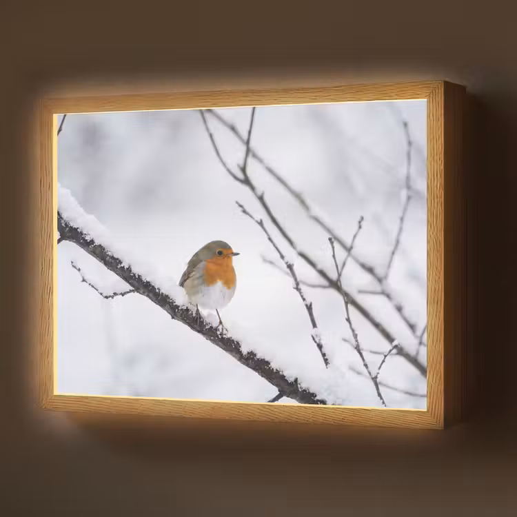 Lightbox - Wandlamp - Roodborstje - Tak - Sneeuw - Winter - Levendig — 1
