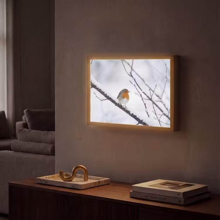 Lightbox - Wandlamp - Roodborstje - Tak - Sneeuw - Winter - Levendig — 2