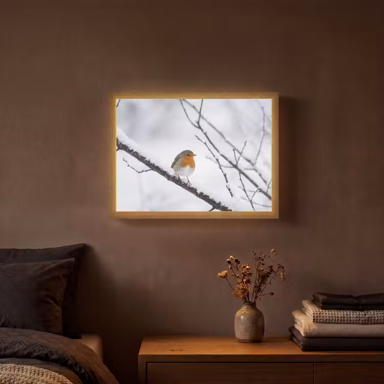 Lightbox - Wandlamp - Roodborstje - Tak - Sneeuw - Winter - Levendig — 3