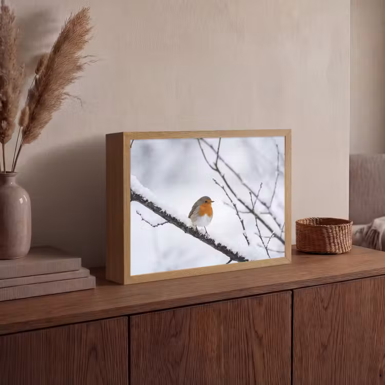 Lightbox - Wandlamp - Roodborstje - Tak - Sneeuw - Winter - Levendig — 4