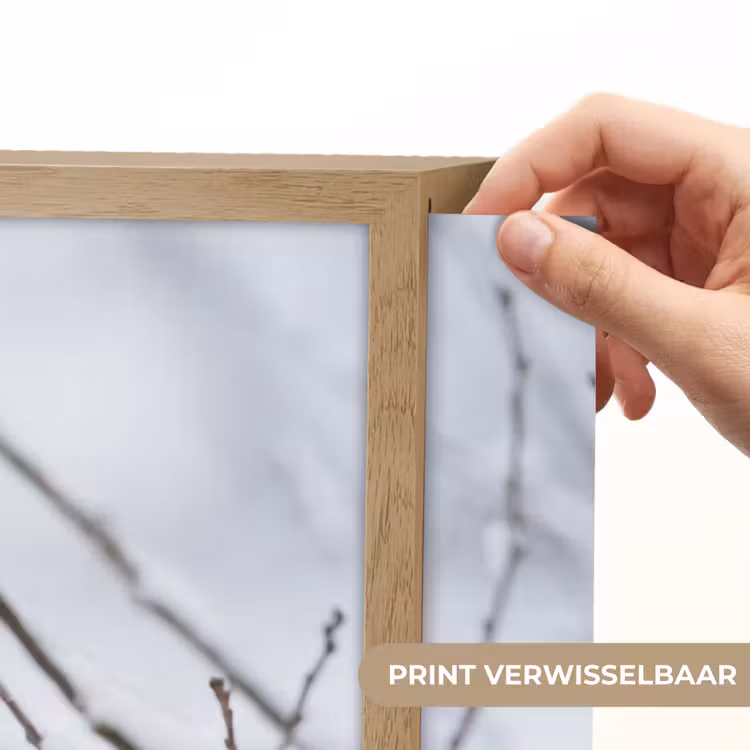 Lightbox - Wandlamp - Roodborstje - Tak - Sneeuw - Winter - Levendig — 5