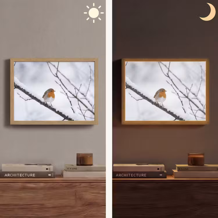 Lightbox - Wandlamp - Roodborstje - Tak - Sneeuw - Winter - Levendig — 6