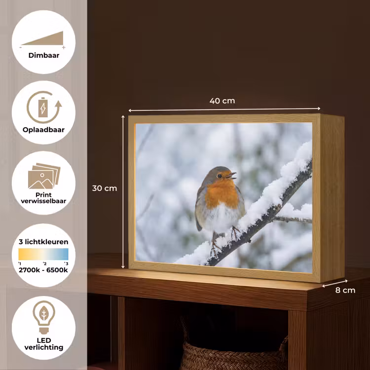 Lightbox - Wandlamp - Roodborstje - Tak - Sneeuw - Winter - Levendig — 10