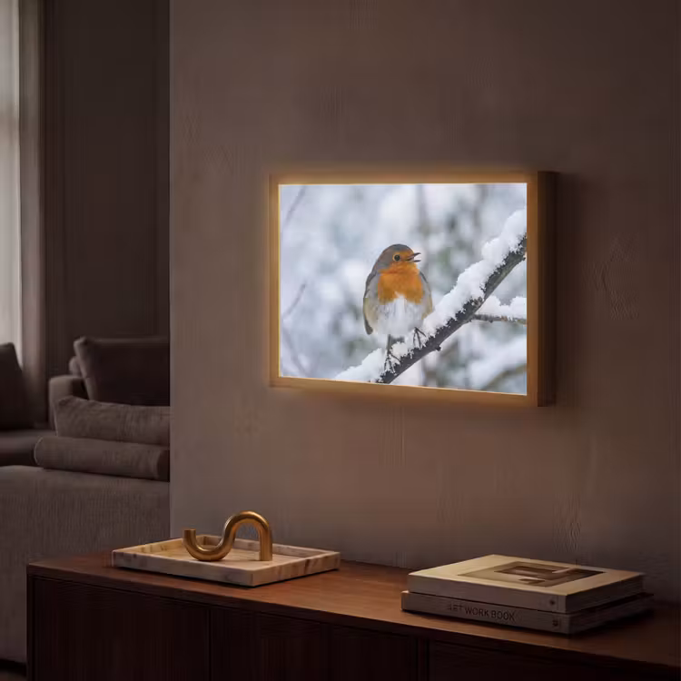 Lightbox - Wandlamp - Roodborstje - Tak - Sneeuw - Winter - Levendig — 2