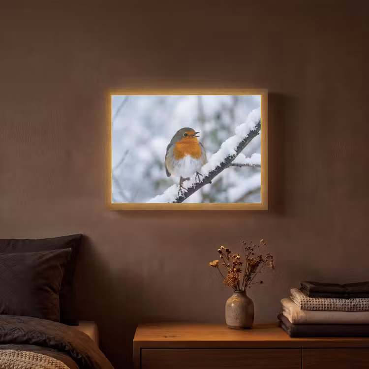 Lightbox - Wandlamp - Roodborstje - Tak - Sneeuw - Winter - Levendig — 3