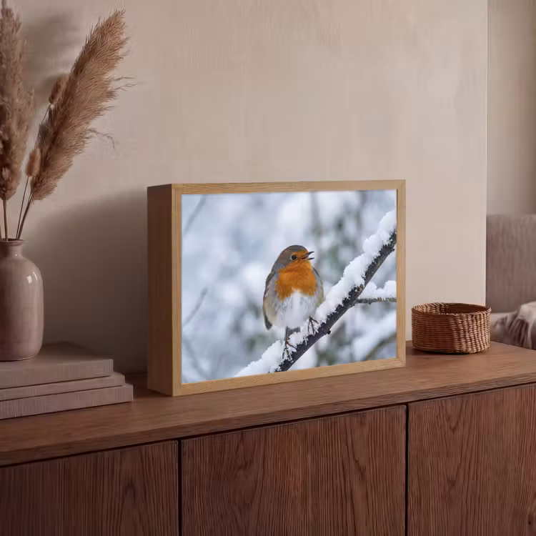 Lightbox - Wandlamp - Roodborstje - Tak - Sneeuw - Winter - Levendig — 4