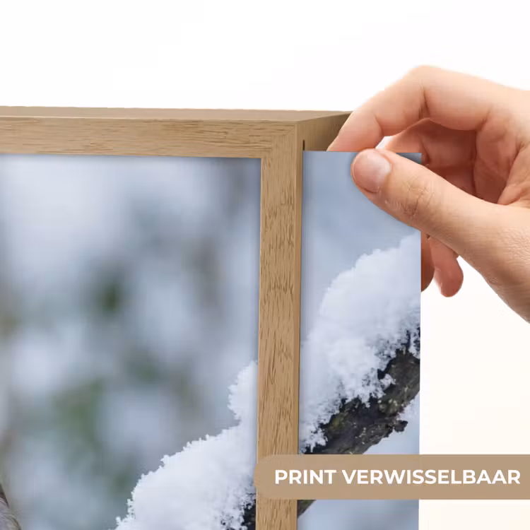 Lightbox - Wandlamp - Roodborstje - Tak - Sneeuw - Winter - Levendig — 5