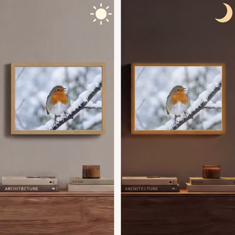 Lightbox - Wandlamp - Roodborstje - Tak - Sneeuw - Winter - Levendig — 6