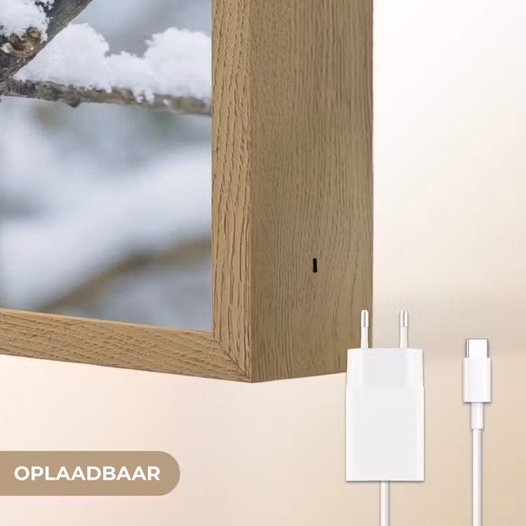 Lightbox - Wandlamp - Roodborstje - Tak - Sneeuw - Winter - Levendig — 7