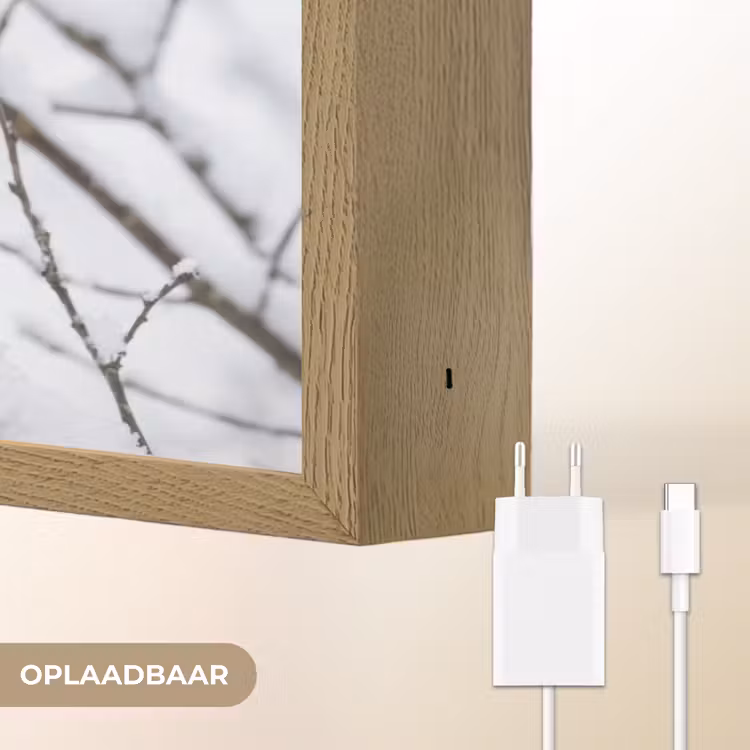 Lightbox - Wandlamp - Roodborstje - Tak - Sneeuw - Winter - Levendig — 7