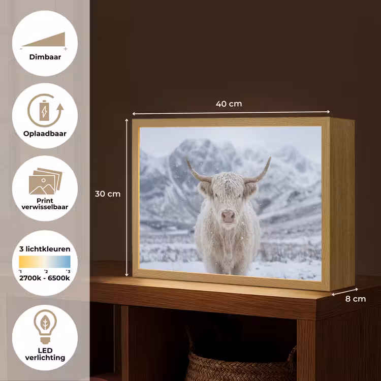 Lightbox - Wandlamp - Schotse Hooglander - Sneeuw - Bergen - Winter — 10