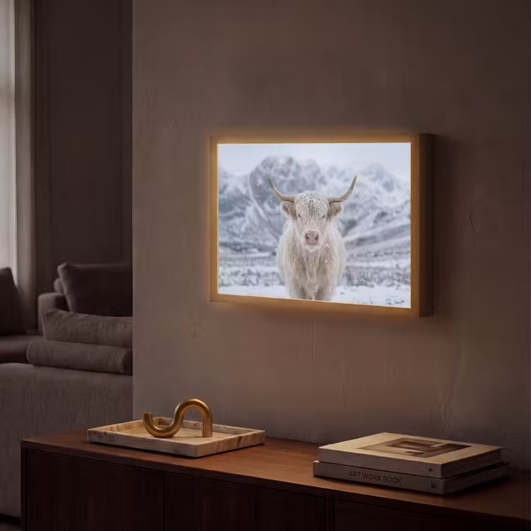 Lightbox - Wandlamp - Schotse Hooglander - Sneeuw - Bergen - Winter — 2