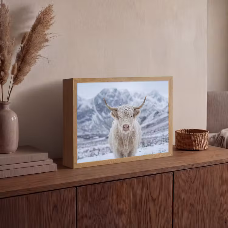 Lightbox - Wandlamp - Schotse Hooglander - Sneeuw - Bergen - Winter — 4