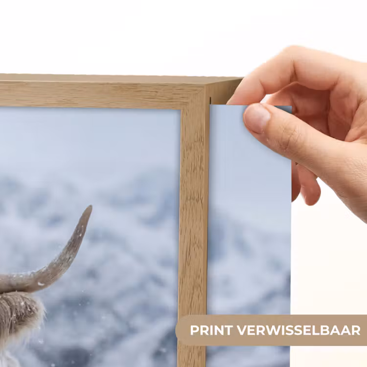 Lightbox - Wandlamp - Schotse Hooglander - Sneeuw - Bergen - Winter — 5