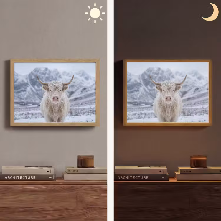Lightbox - Wandlamp - Schotse Hooglander - Sneeuw - Bergen - Winter — 6