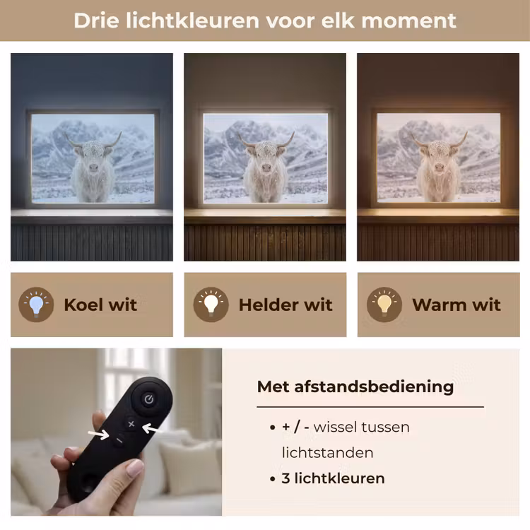 Lightbox - Wandlamp - Schotse Hooglander - Sneeuw - Bergen - Winter — 8