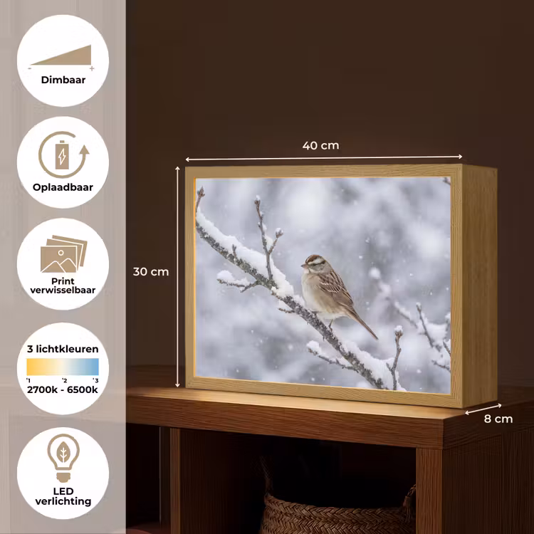 Lightbox - Wandlamp - Vogel - Tak - Sneeuw - Winter — 10